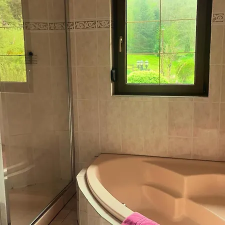 Buhl De Bonheur Holiday home Guebwiller