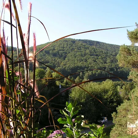 Buhl De Bonheur