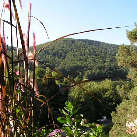 Buhl De Bonheur