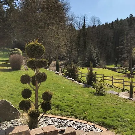 Buhl De Bonheur Ferienhaus